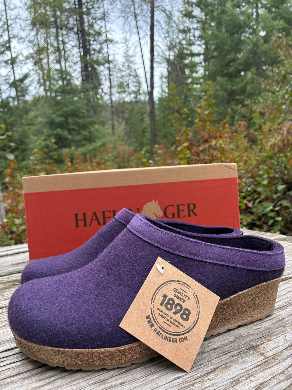 Haflinger Women’s Deep Purple Wool Slip-On Clogs 38, 39